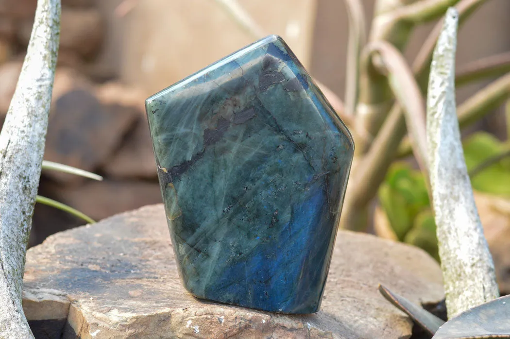 Polished Blue Labradorite Standing Free Form x 1 From Tulear, Madagascar