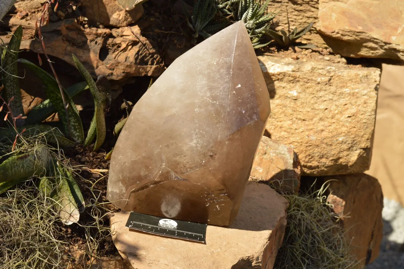 Polished Extra Large Banded Smokey Quartz Crystal With Enhydro Water Chamber x 1 From Zambia