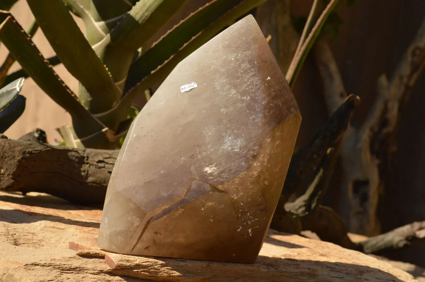 Polished Extra Large Banded Smokey Quartz Crystal With Enhydro Water Chamber x 1 From Zambia