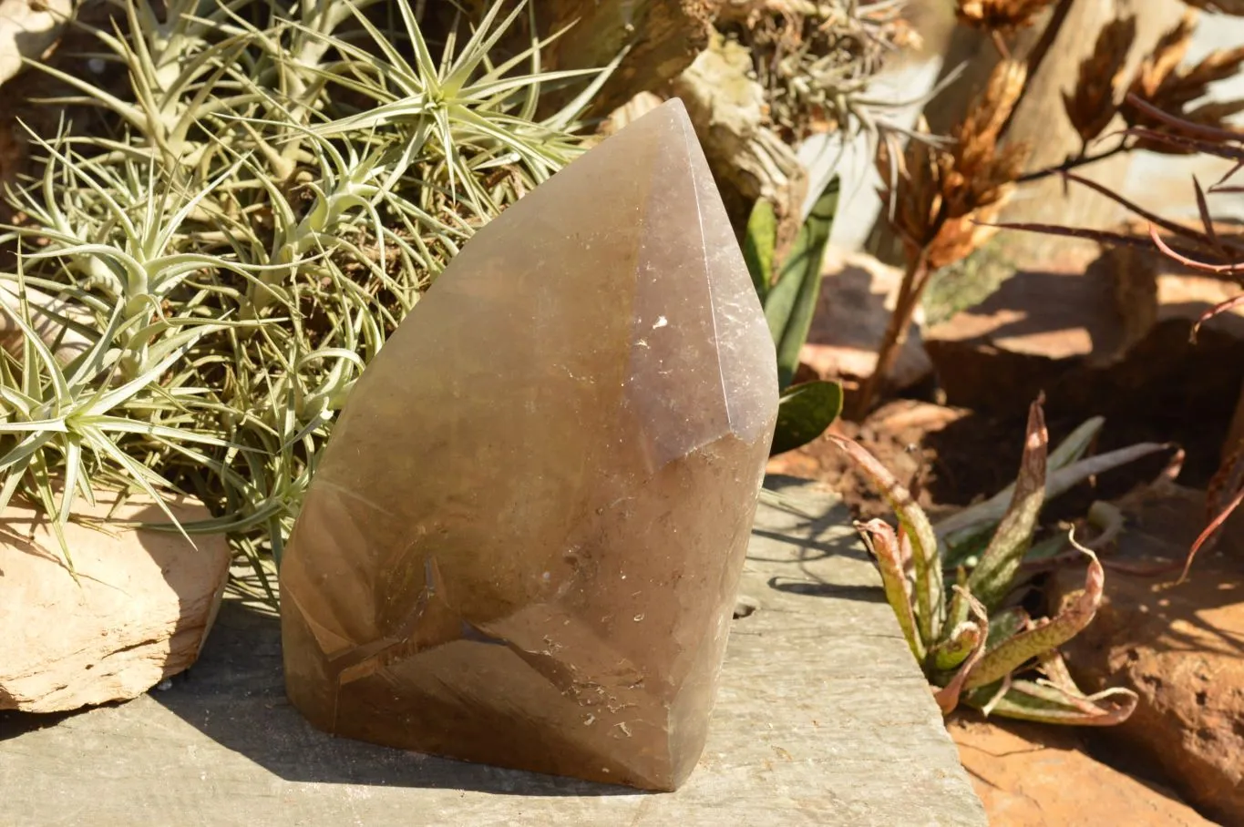 Polished Extra Large Banded Smokey Quartz Crystal With Enhydro Water Chamber x 1 From Zambia