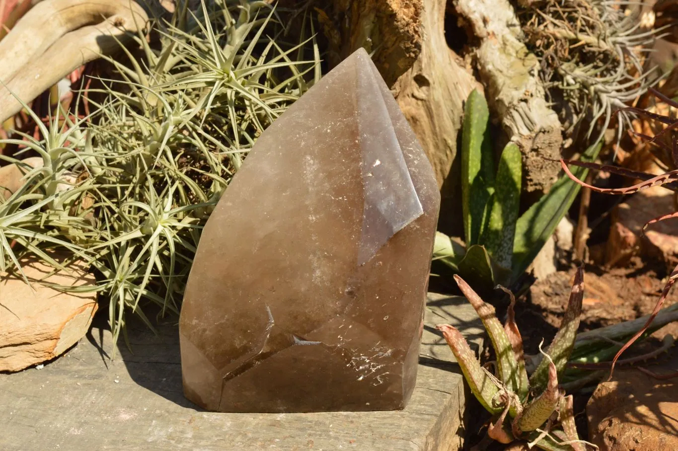 Polished Extra Large Banded Smokey Quartz Crystal With Enhydro Water Chamber x 1 From Zambia