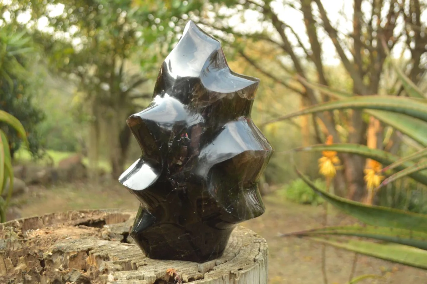 Polished Extra Large Dark Smokey Quartz Flame  x 1 From Madagascar