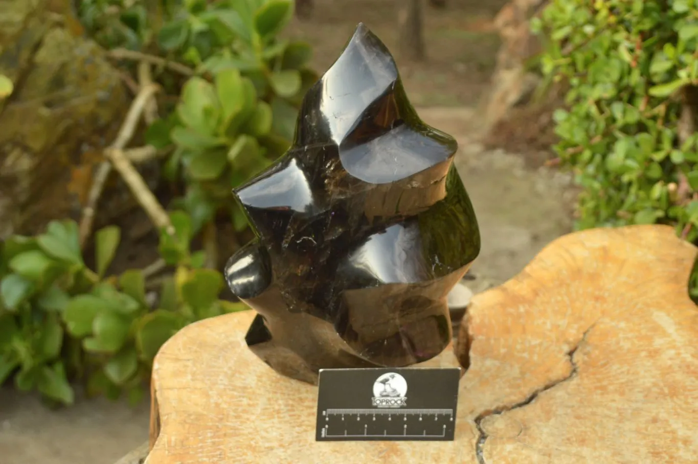Polished Extra Large Dark Smokey Quartz Flame  x 1 From Madagascar