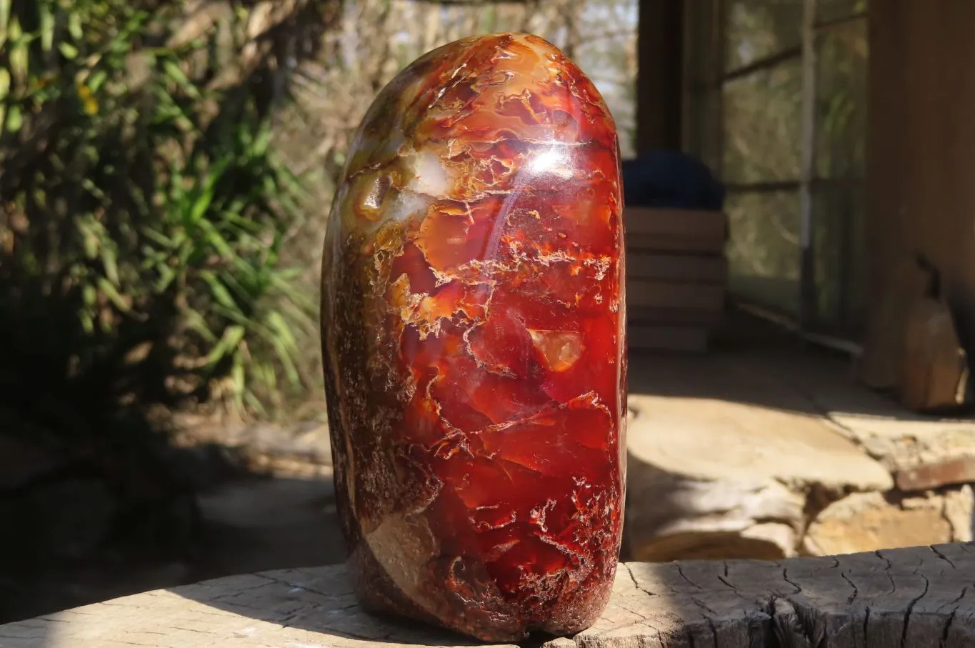 Polished Large Carnelian Agate Display Piece  x 1 From Madagascar