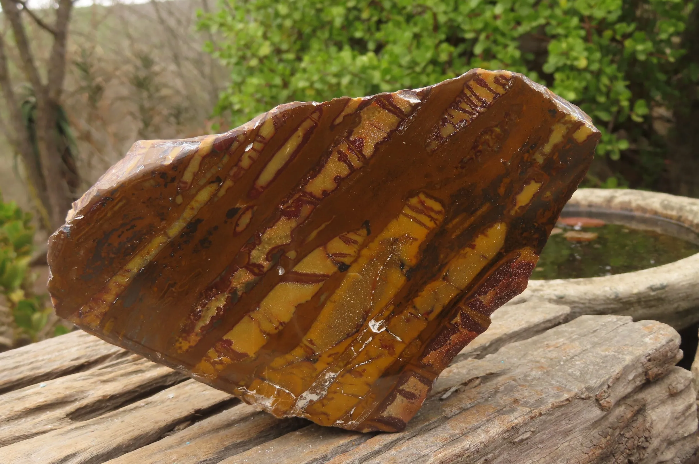 Polished On One Side Nguni Jasper Specimen x 1 From Prieska, South Africa
