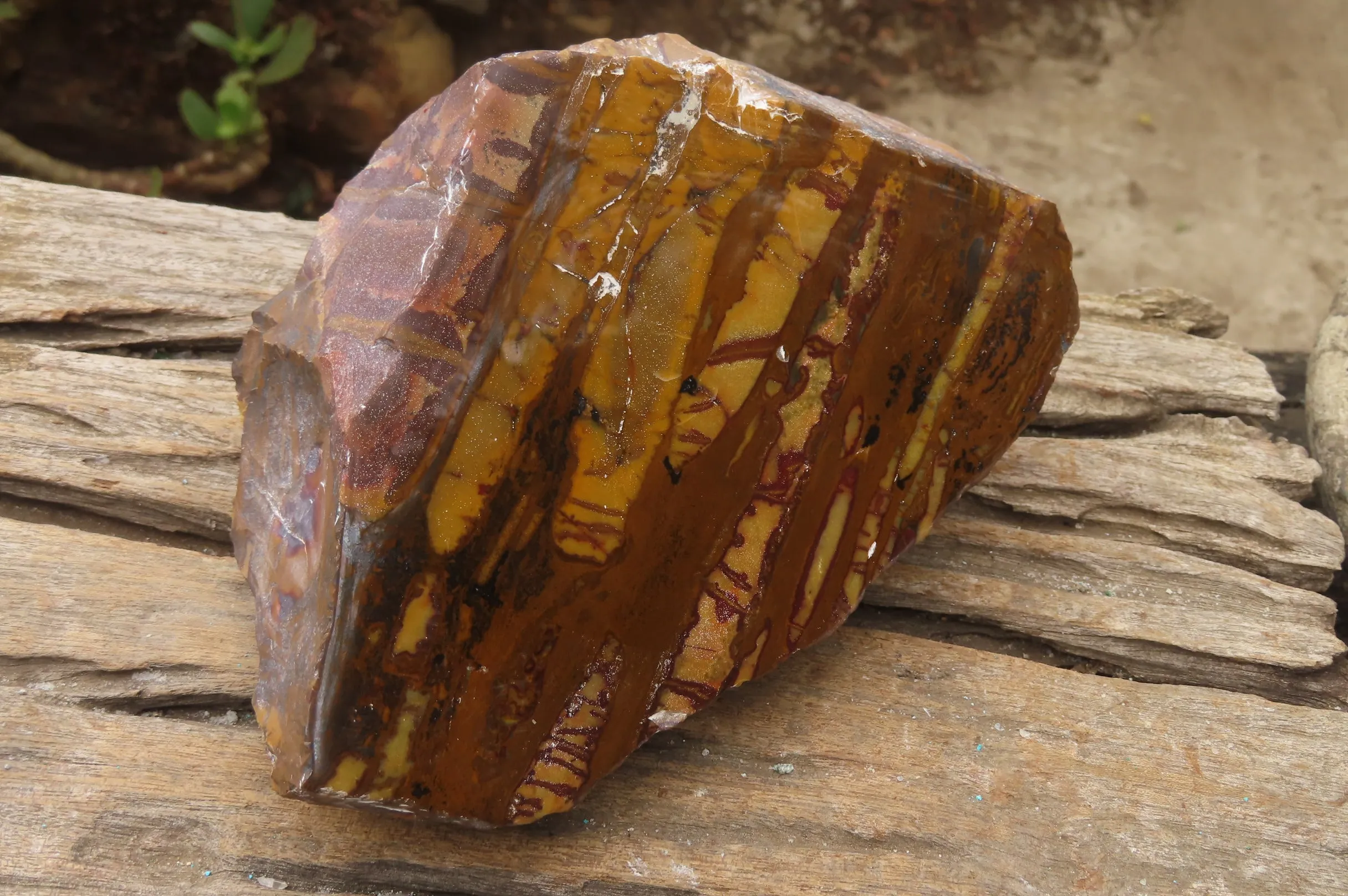 Polished On One Side Nguni Jasper Specimen x 1 From Prieska, South Africa