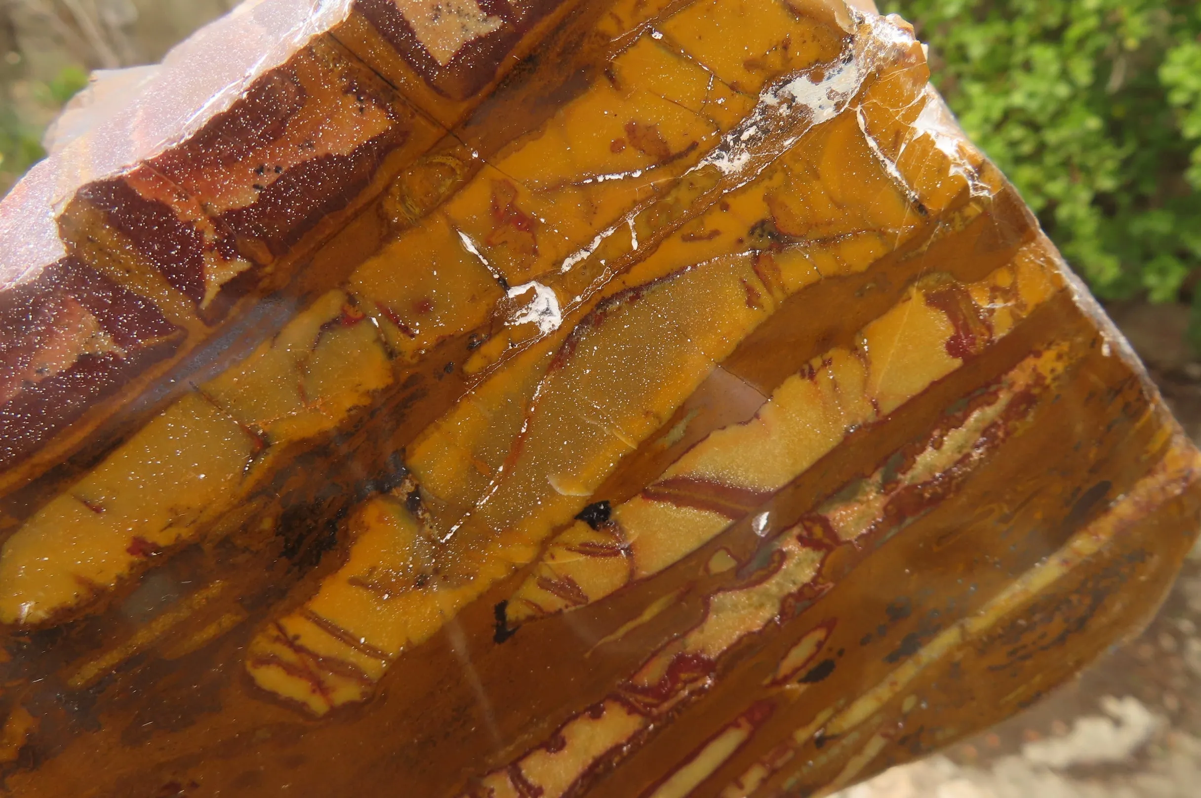 Polished On One Side Nguni Jasper Specimen x 1 From Prieska, South Africa