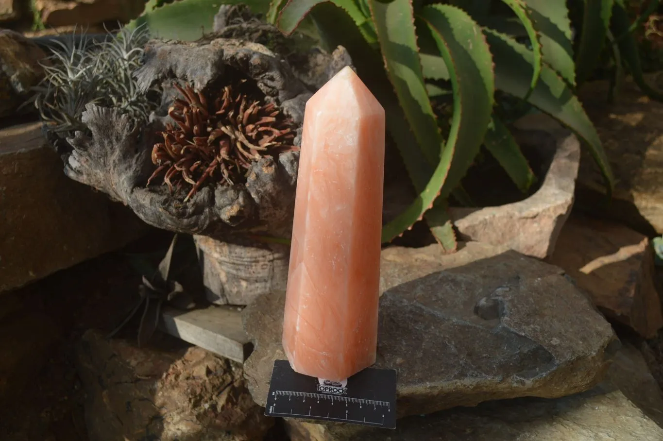 Polished Orange Twist Calcite Prism x 1 From Madagascar