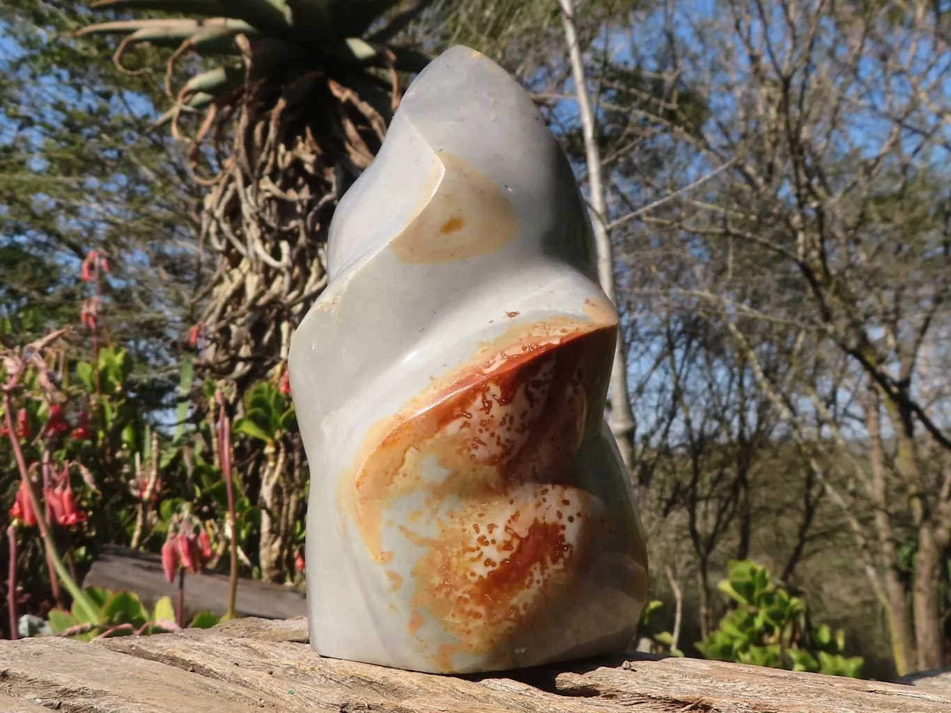 Polished Polychrome / Picasso Jasper Flame  x 1 From Madagascar