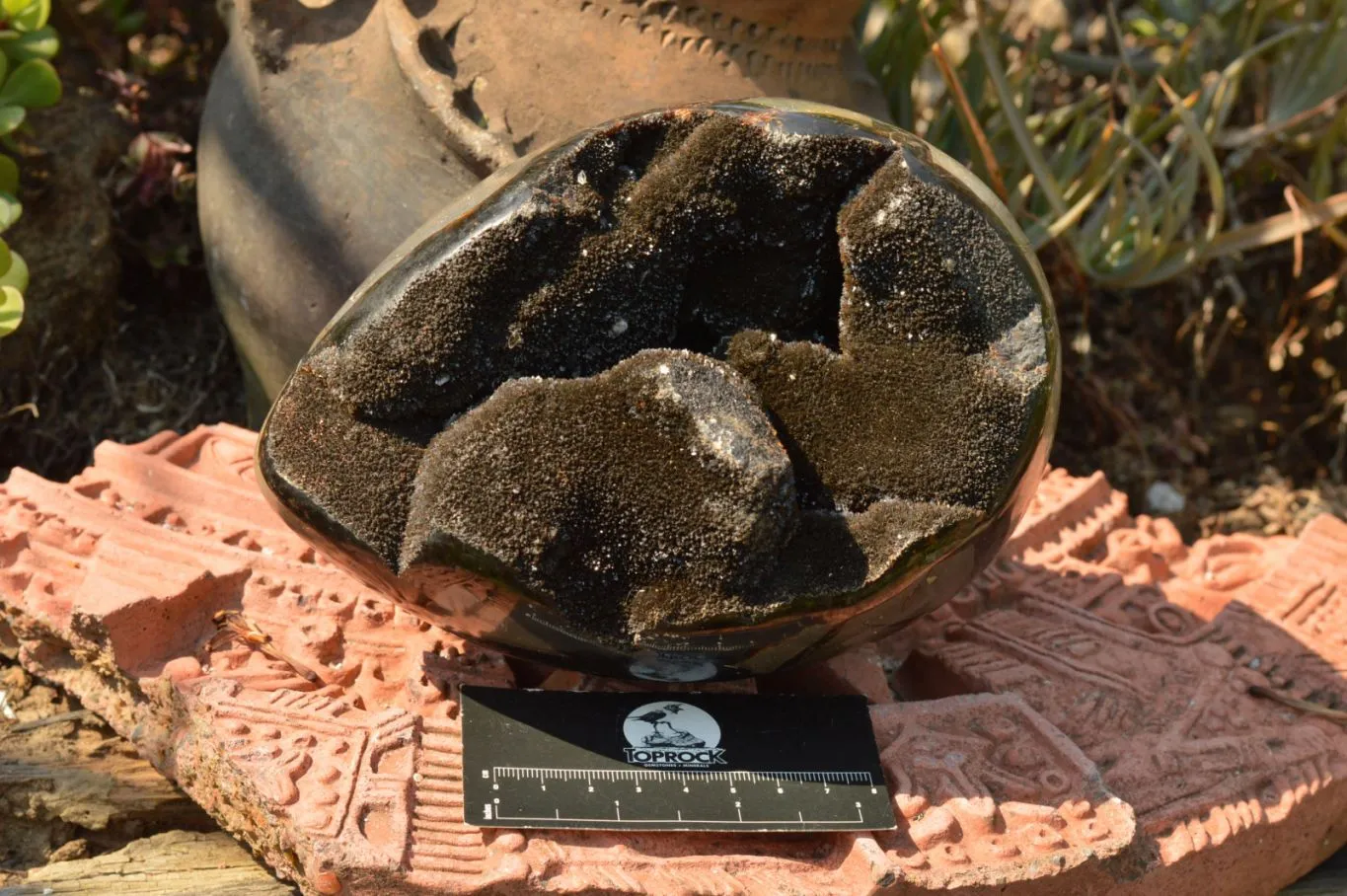 Polished Septerye Sauvage Dragons Egg Geode x 1 From Mahajanga, Madagascar