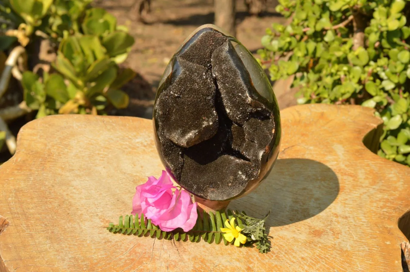 Polished Septerye Sauvage Dragons Egg Geode x 1 From Mahajanga, Madagascar