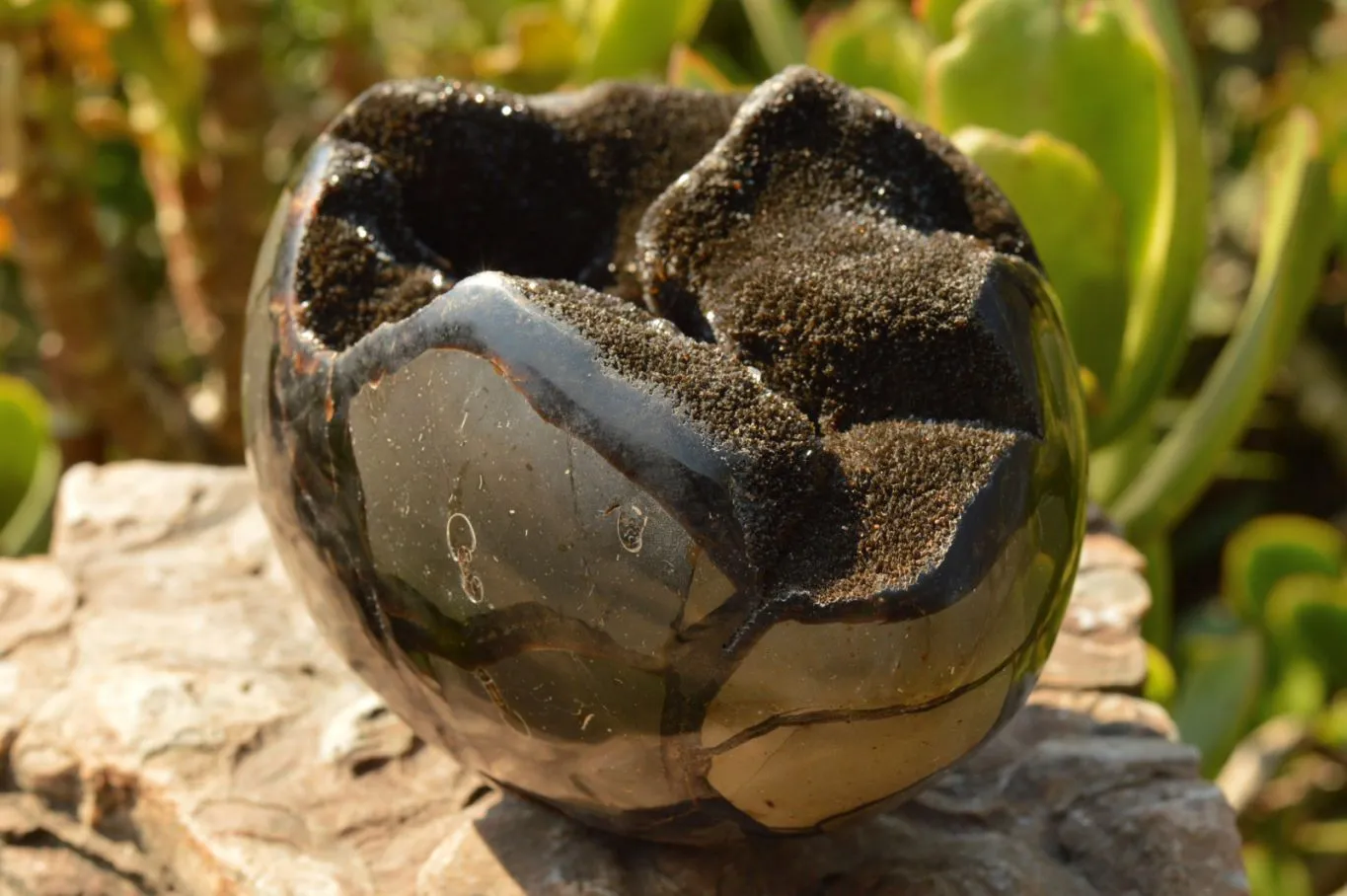 Polished Septerye Sauvage Dragons Egg Geode x 1 From Mahajanga, Madagascar