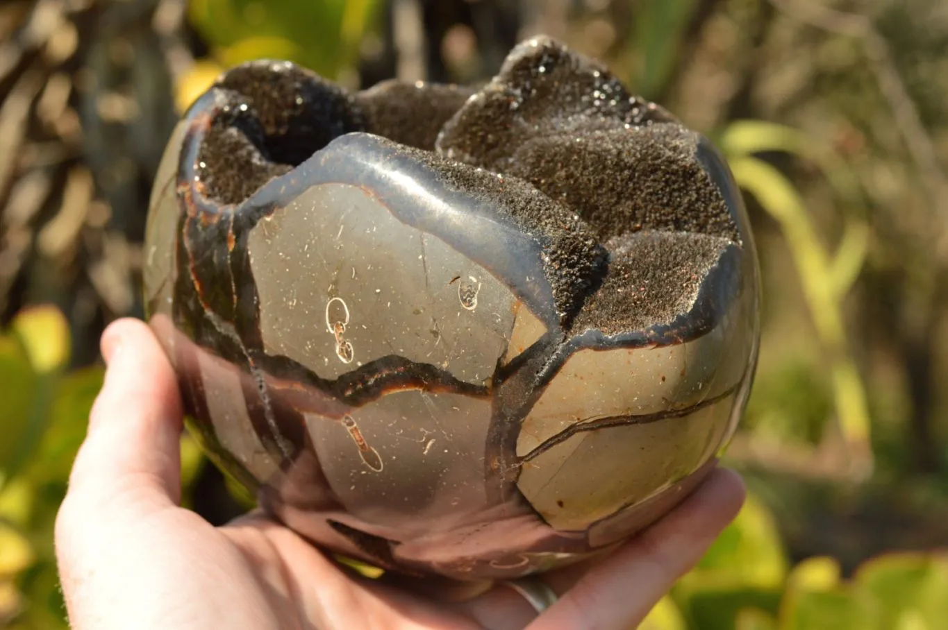 Polished Septerye Sauvage Dragons Egg Geode x 1 From Mahajanga, Madagascar