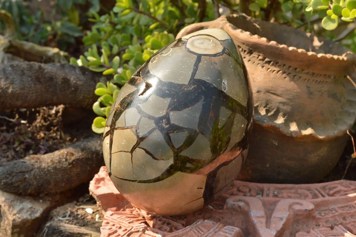 Polished Septerye Sauvage Dragons Egg Geode x 1 From Mahajanga, Madagascar