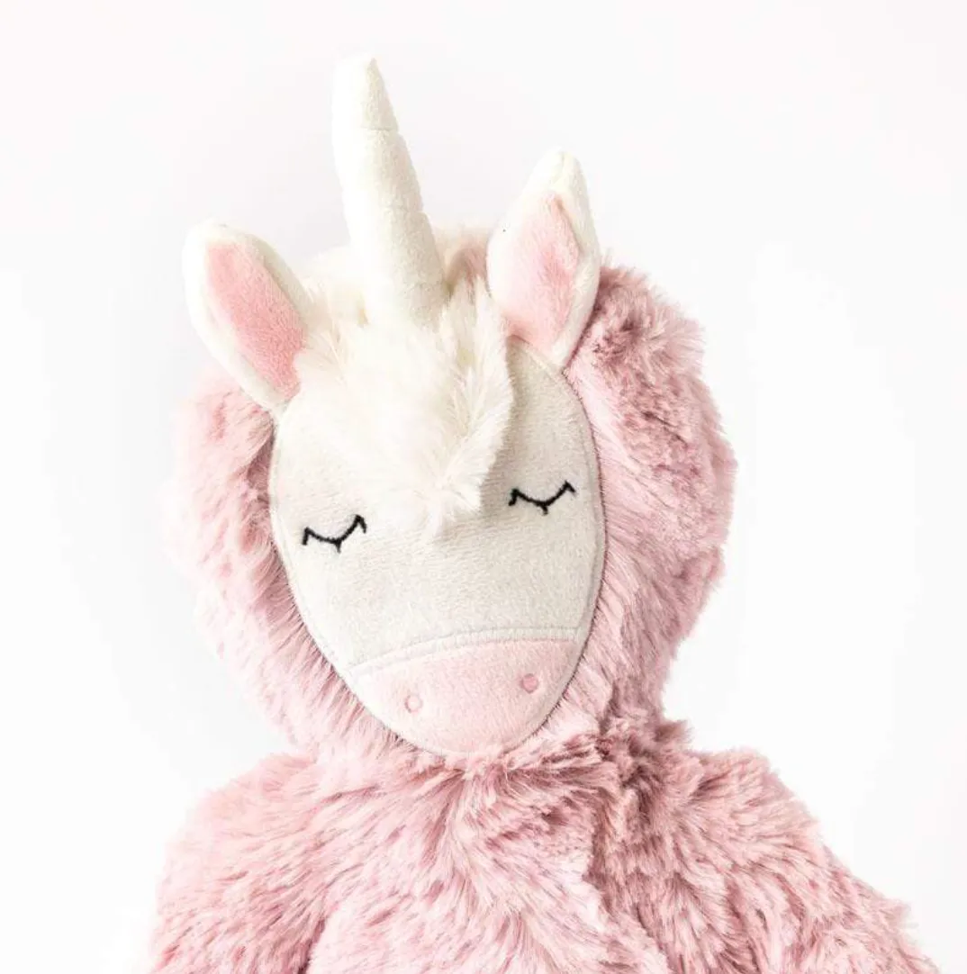 Unicorn Kin   Lesson Book - Authenticity