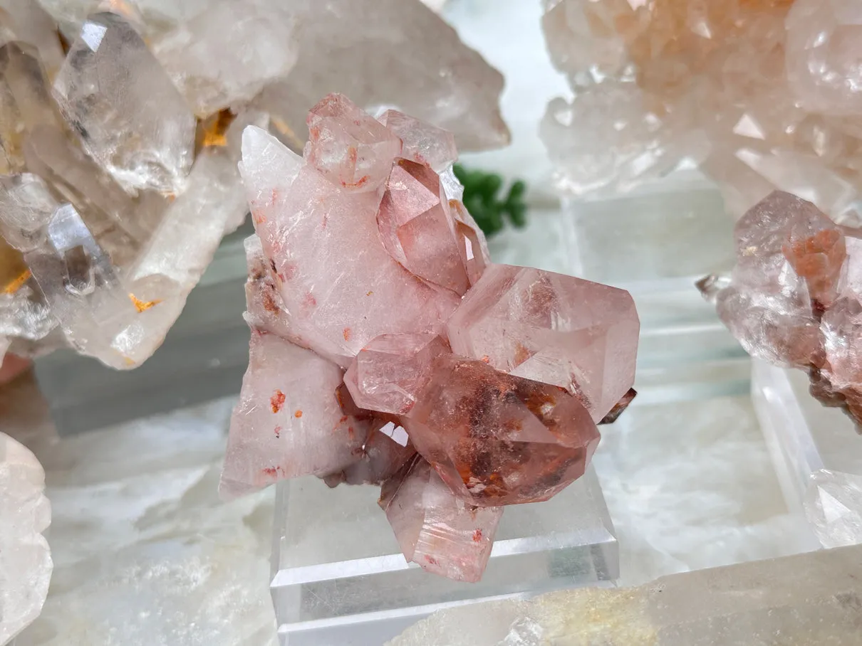 Unique Brazil Quartz Crystals